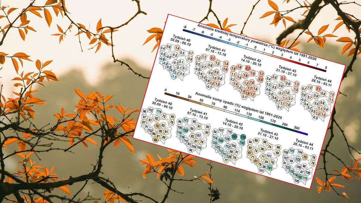 Prognoza pogody na październik od IMGW. Powinno być spokojnie.