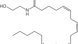 Anandamide. Is it a new neurotransmitter?