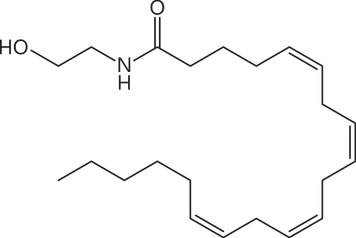 Anandamide. Is it a new neurotransmitter?