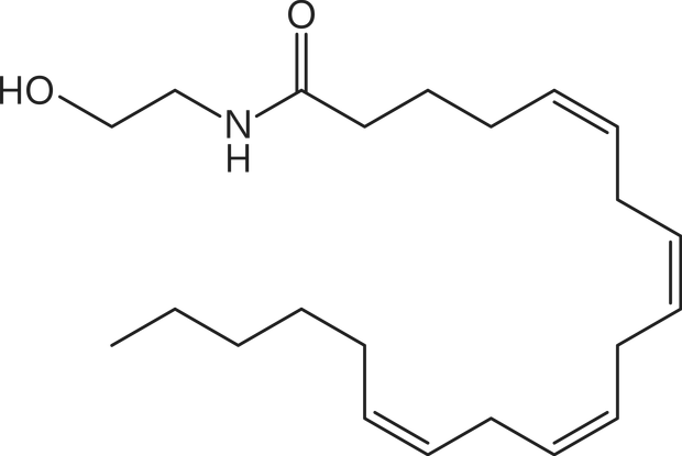 Anandamide. Is it a new neurotransmitter?