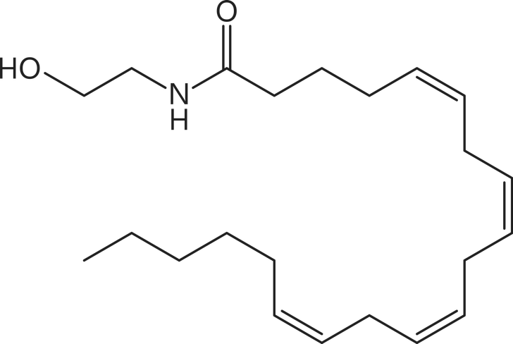Anandamide. Is it a new neurotransmitter?