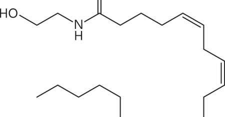 Anandamide. Is it a new neurotransmitter?