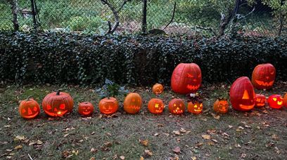 Ksiądz zniszczył halloweenowe dekoracje. Walczył o zbawienie dzieci