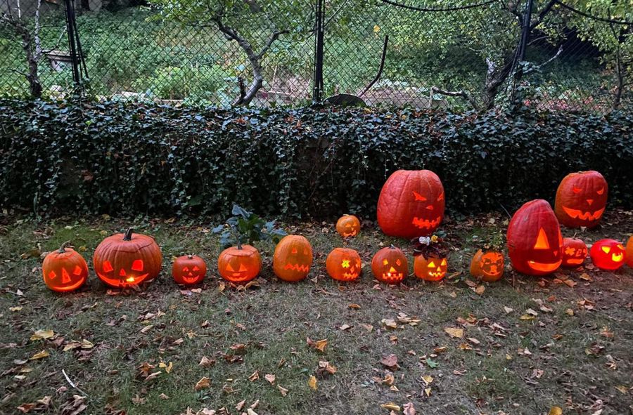 Ksiądz zniszczył dynie przygotowane na halloween