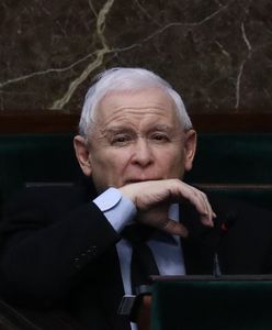 Masowy bojkot? Wynik sondażu WP to sygnał alarmowy dla PiS