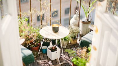 W tym roku truskawki tylko z własnej doniczki! Oto pomysły na prosty ogród na balkonie