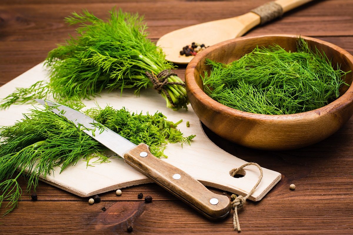 Dill: The underrated herb with surprising health benefits