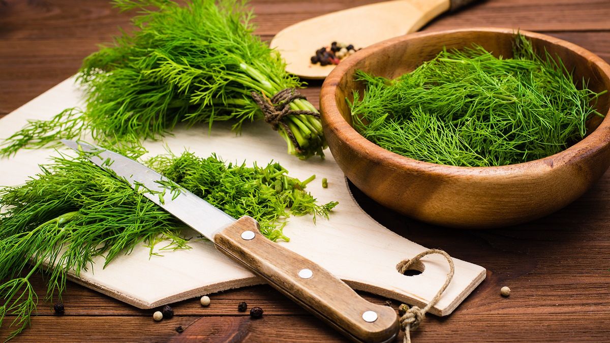 Mało kto ma świadomość. Tak koperek wpływa na organizm