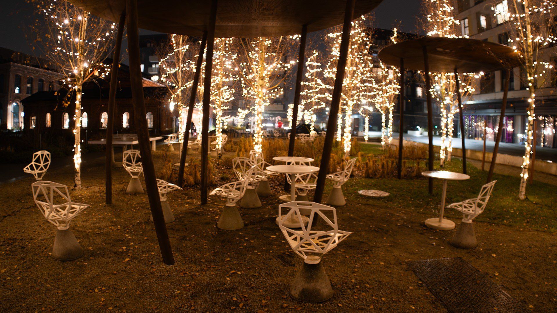 Świąteczna Fuzja robi wrażenie