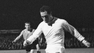 Francisco Gento. "Pastuch o końskich płucach"