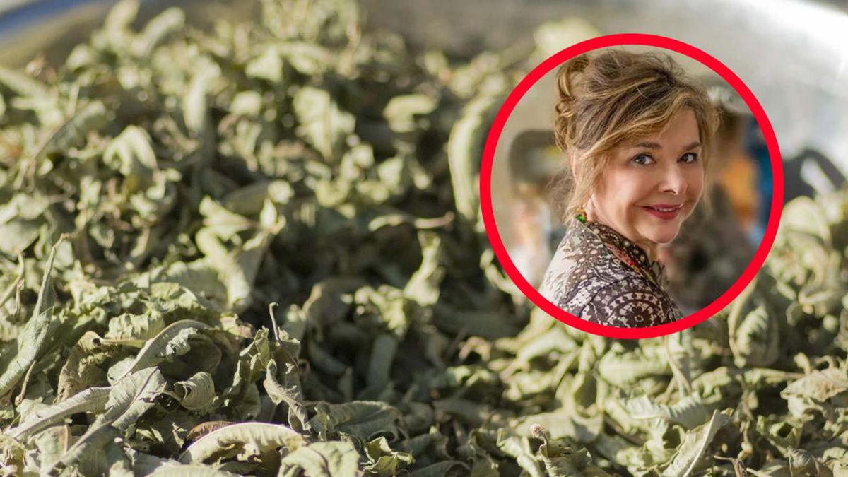 Najlepsze polskie zioła. Lekarka poleca