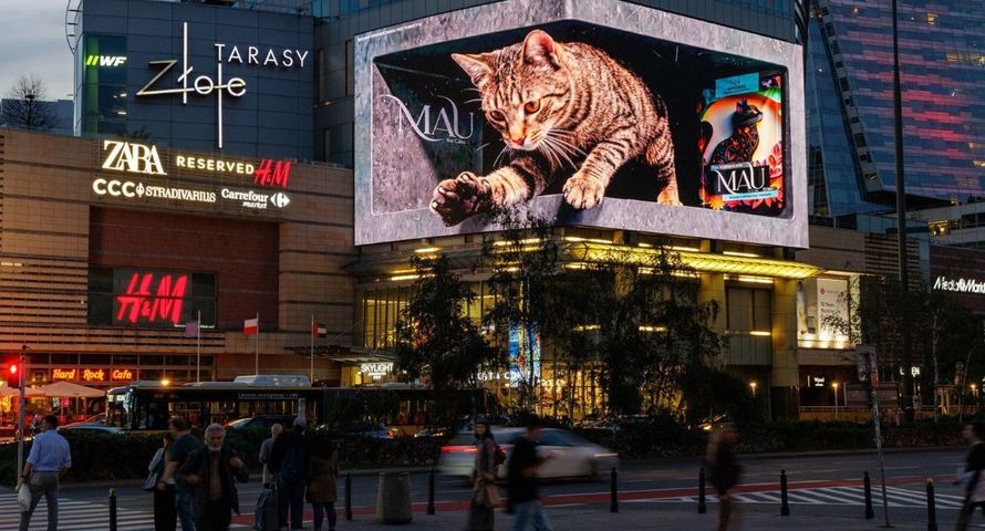 Gigantyczny kot podbija Warszawę i internet. Miliony wyświetleń reklamy 3D