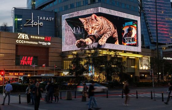 Gigantyczny kot podbija Warszawę i internet. Miliony wyświetleń reklamy 3D