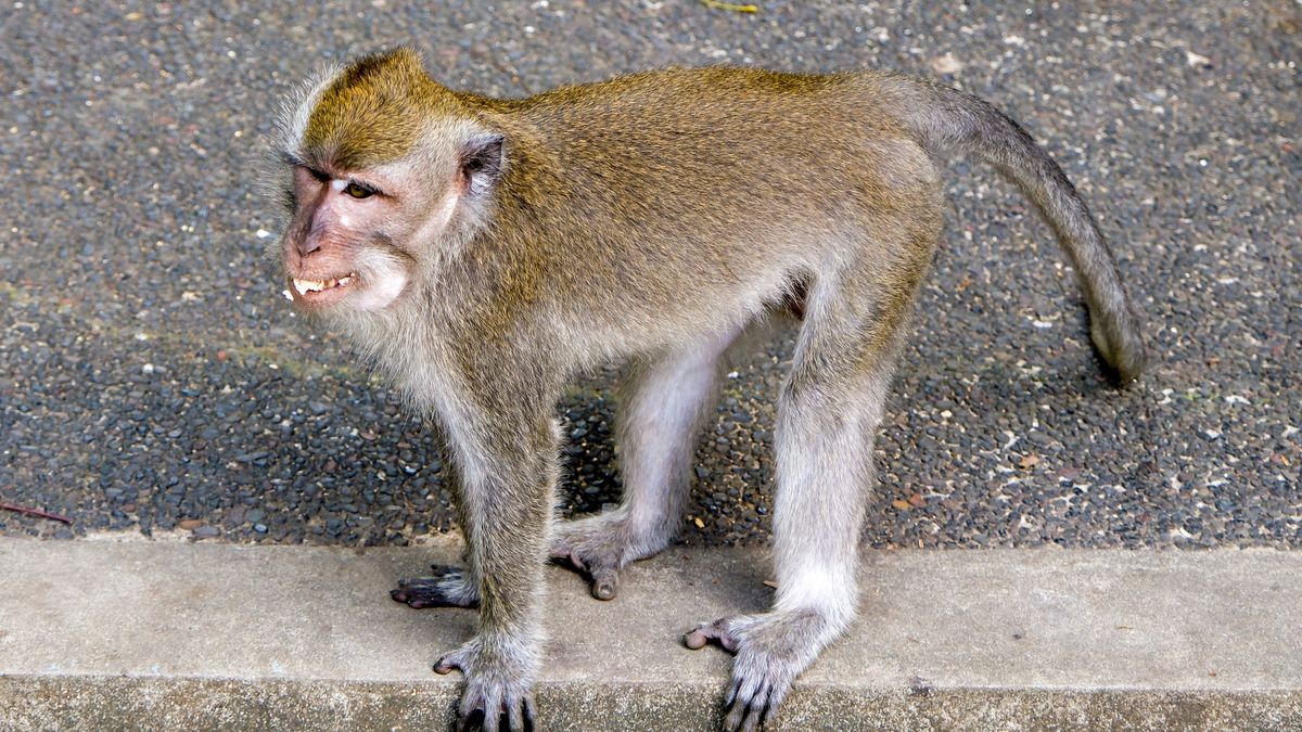 Alarmujące doniesienia z Karoliny Południowej