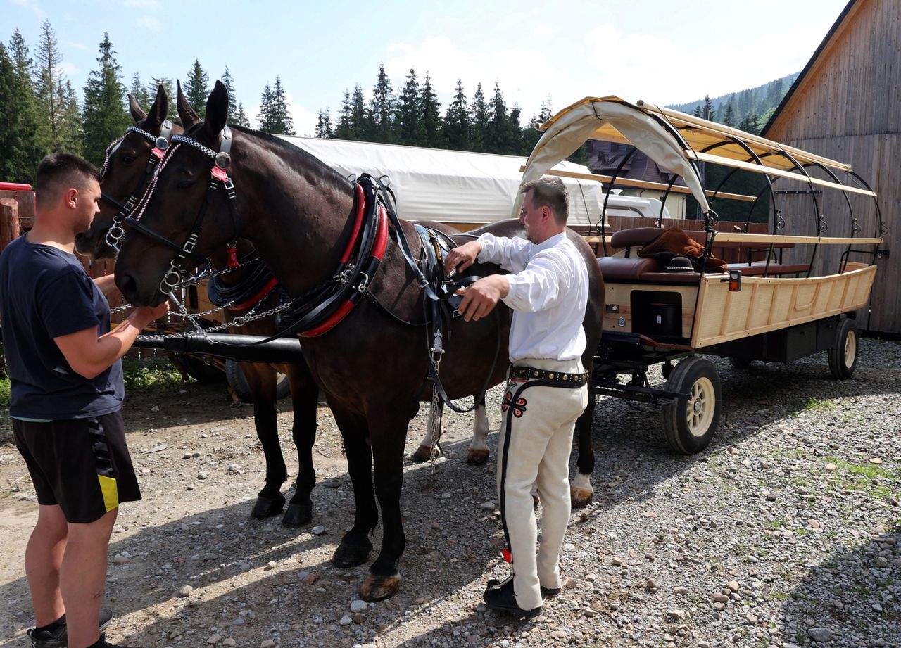 Tatry. Test hybrydowego wozu konnego