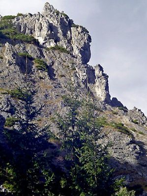 Obraz