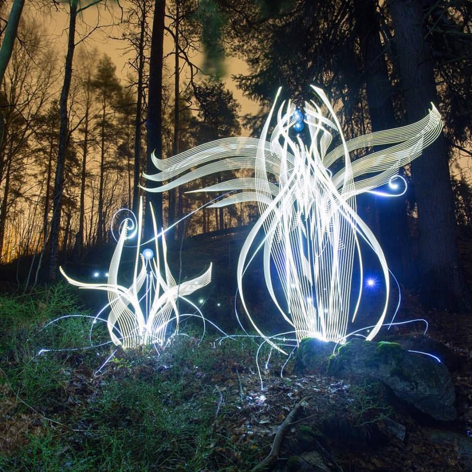 Hannu Huhtamo zmienia fińską noc polarną w magiczny las 5