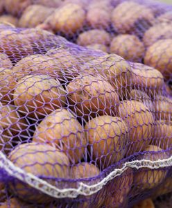 Wyrzucają tony ziemniaków. Załamanie na rynku