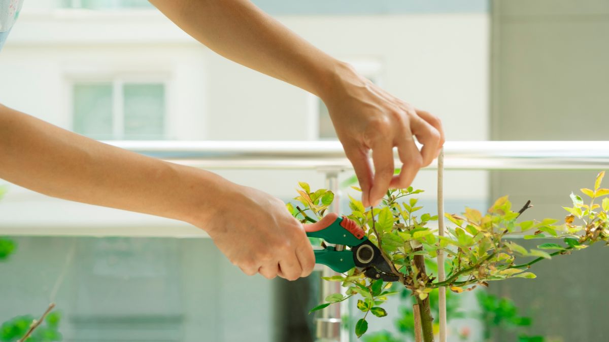 Ogród zimowy możesz przygotować na swoim balkonie