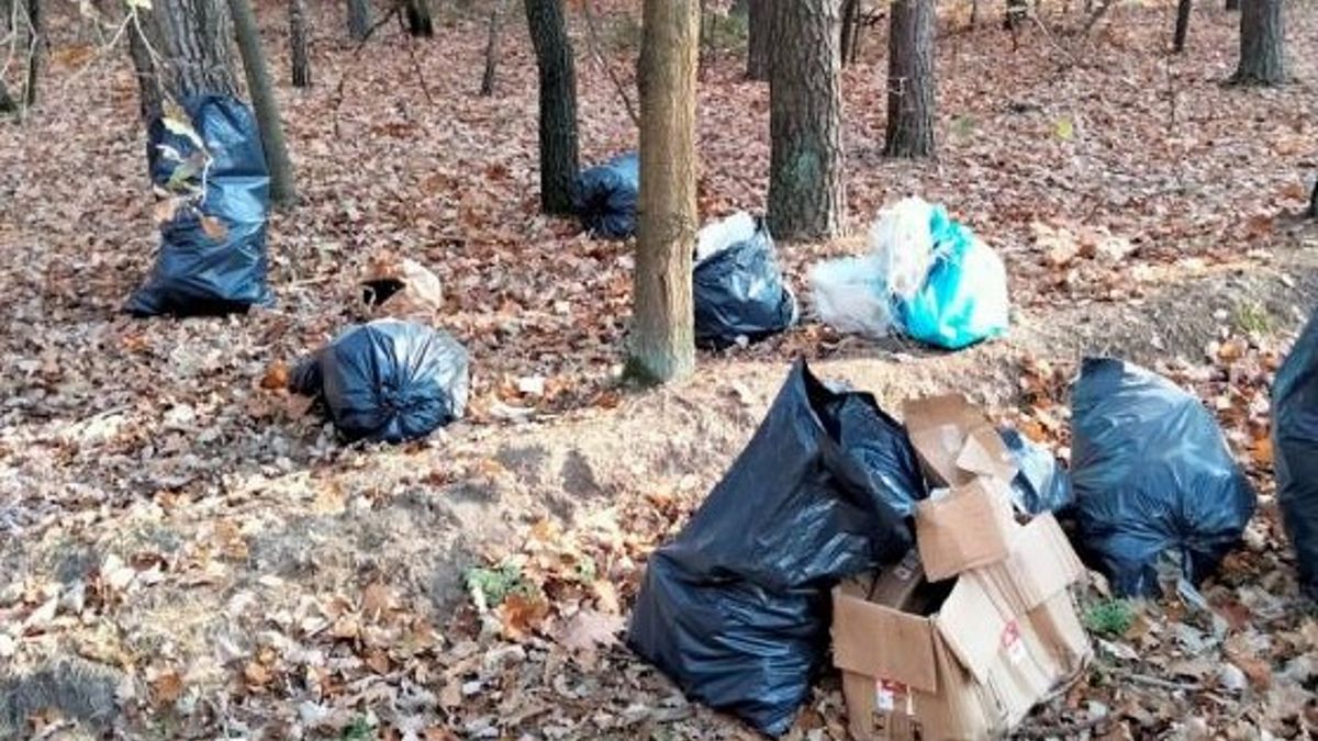 Niecodzienne zakończenie miało postępowanie dotyczące zaśmiecania lasów Nadleśnictwa Lubartów.