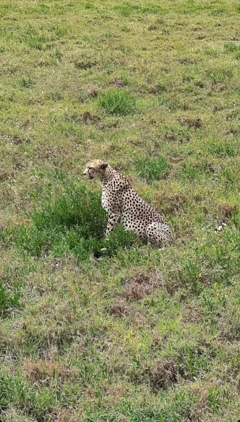 Katarzyna Zielińska relacjonuje wakacje na safari
