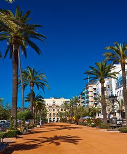 Polacy szukają mieszkań w tym kraju. "Potrzebuję dla syna"