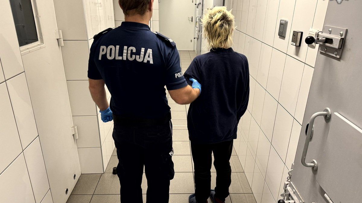 Kobieta jest podejrzewana o zabójstwo partnera  