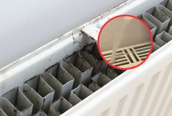 Kaloryfer aż się o to prosi. Wylej na grzejnik, a będzie jak nowy