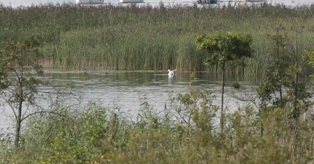 Mazurskie jeziora w niebezpieczeństwie. Mówią o "wysychającej krainie"