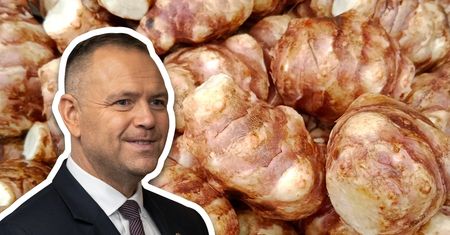 Kiedyś jedzenie biedoty, dziś prezydencki rarytas. Jest dobry dla jelit