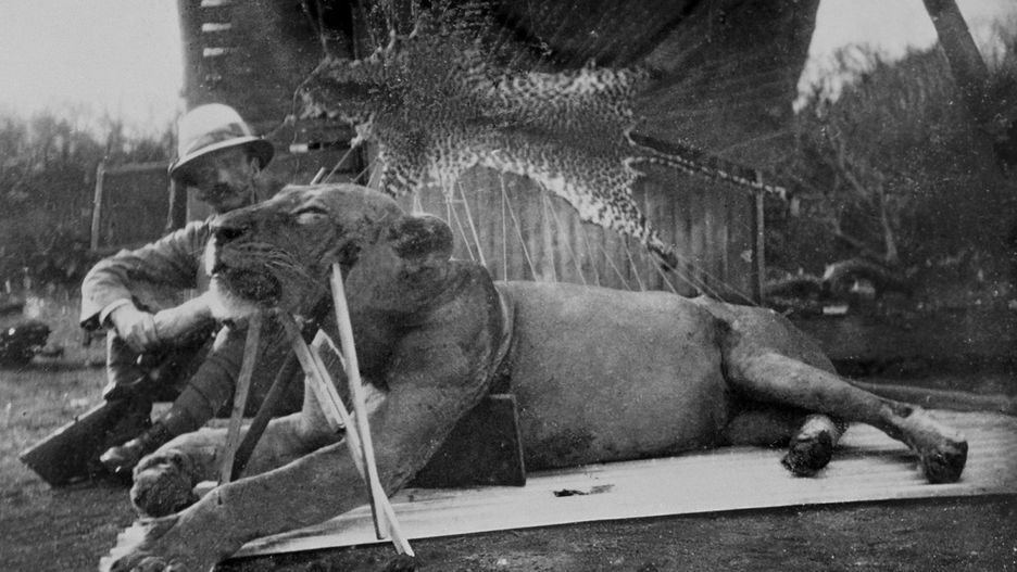 John Henry Patterson i jeden z lwów, które siały postrach wśród robotników kolei