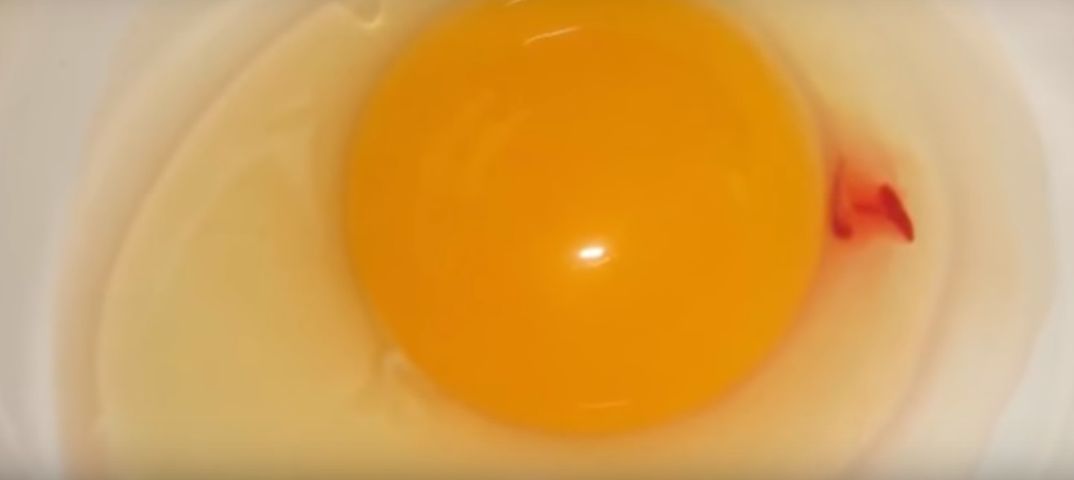 Czy obecność krwi w jajku może być niebezpieczna dla zdrowia?