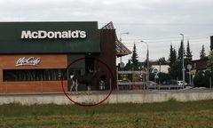 Błonie. Niespodziewany przybysz. Ulicami spacerował łoś