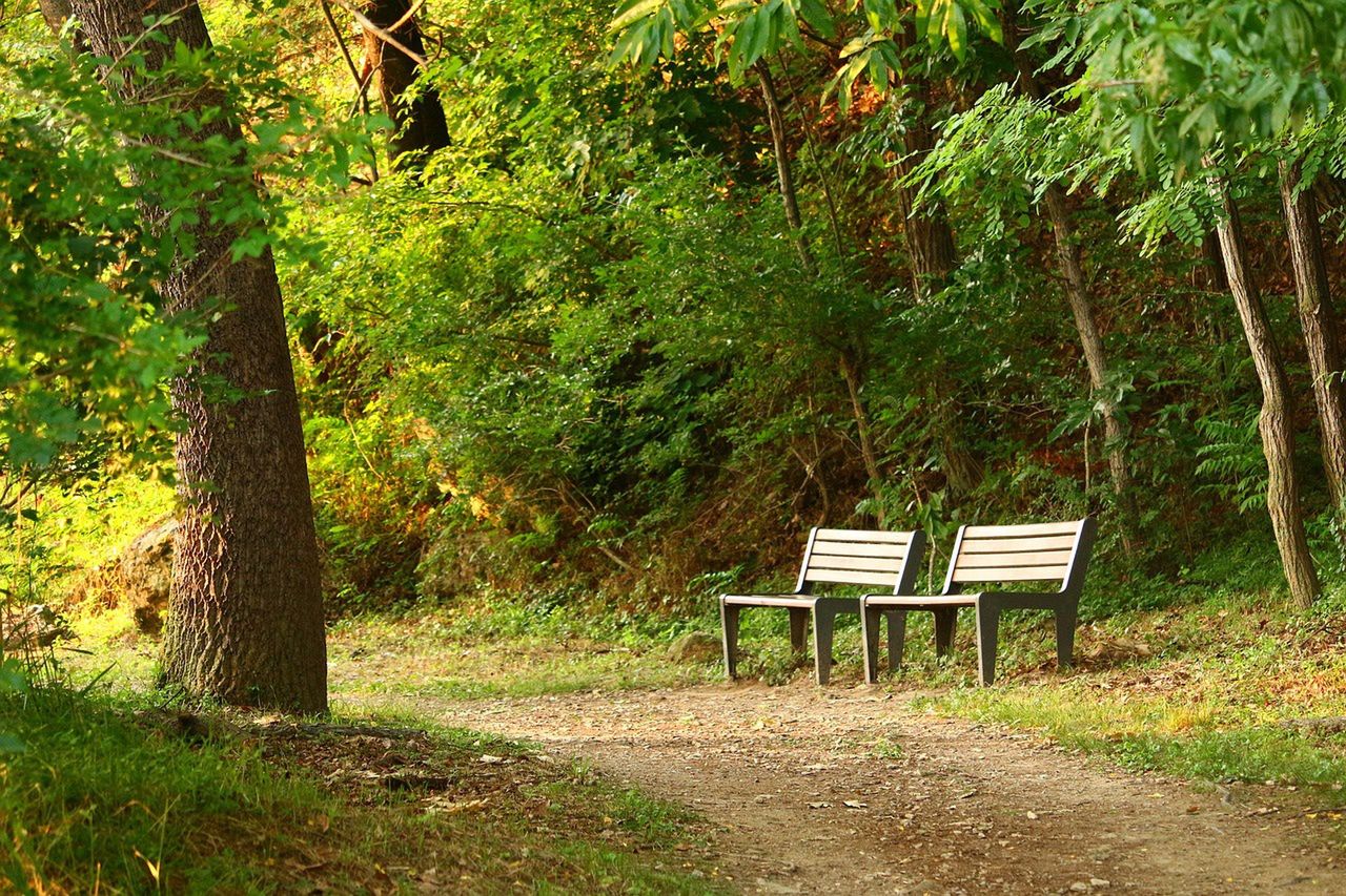 To jeden z najpiękniejszych parków na Śląsku