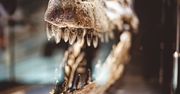 Powietrze z czasów dinozaurów. Udało się je odtworzyć