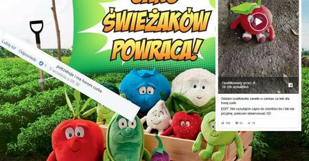 Oto, co Polacy są w stanie zrobić, by mieć świeżaka