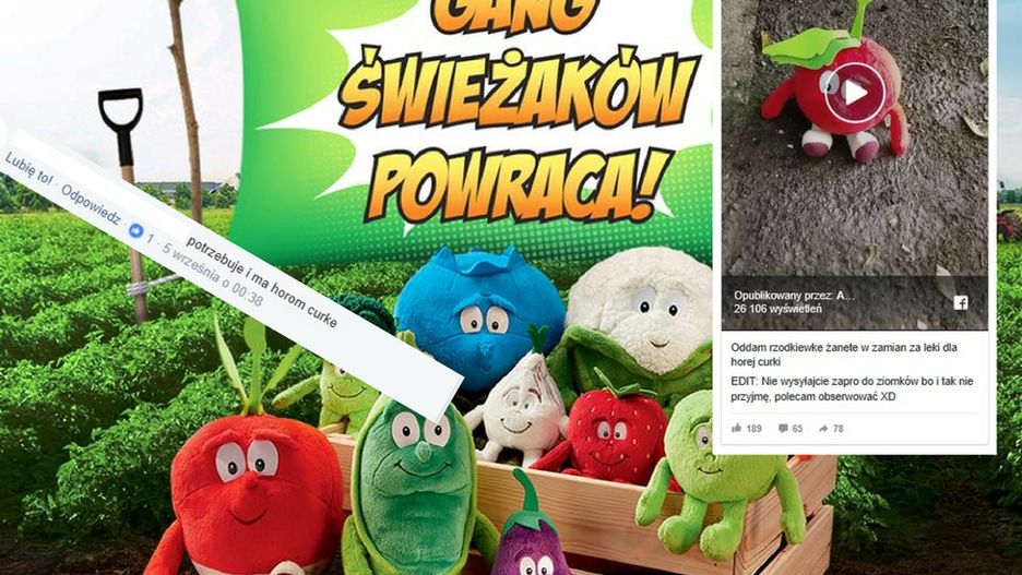 Świeżaki stały się dobrem pożądanym przez Polaków