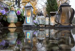 Hieny cmentarne uaktywniają się przed dniem Wszystkich Świętych