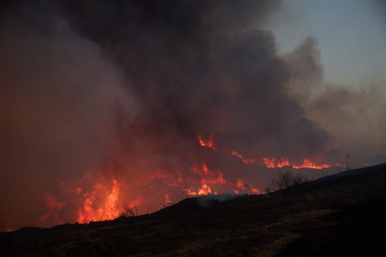 Canyon Fire