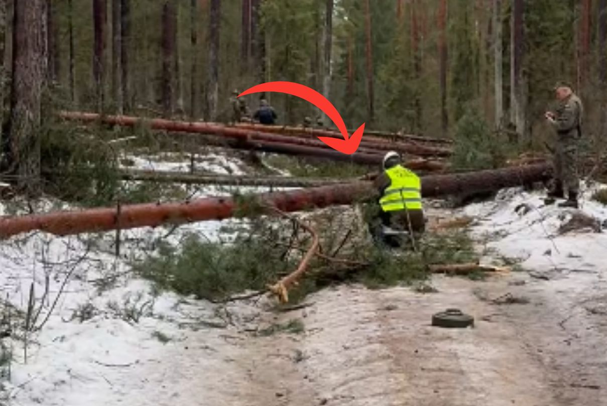 Leśnicy ich nagrali. Oto co żołnierze robili w lesie