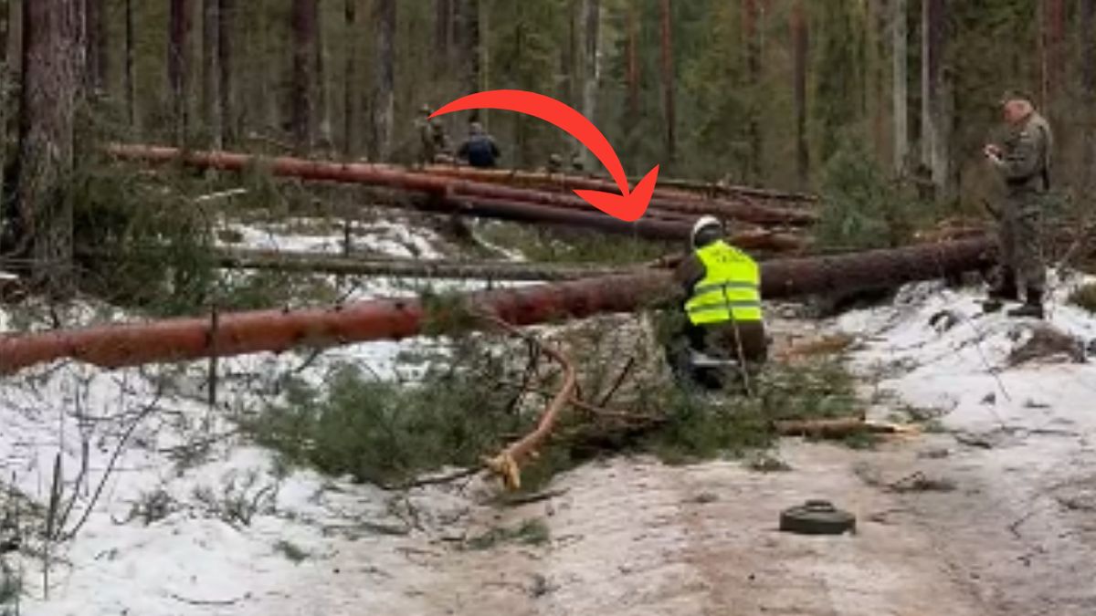 Żołnierze ćwiczyli w lesie