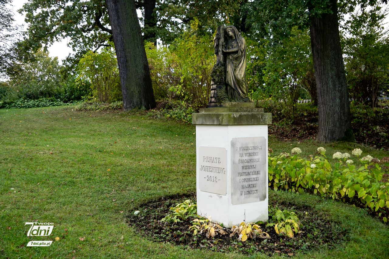 Pałac w Łomnicy, Dolny Śląsk, turystyka