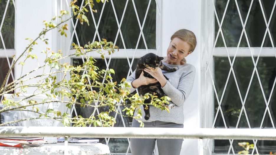 Laura Łącz święta spędzi z kotem