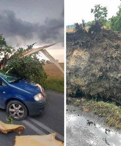 Potężny żywioł nad Polską. Powalone drzewa i pozrywane dachy