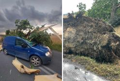 Potężny żywioł nad Polską. Powalone drzewa i pozrywane dachy