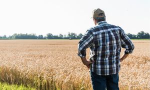 Stracili uprawy. Rolnicy są załamani. "Wszystko trwało 15 minut"