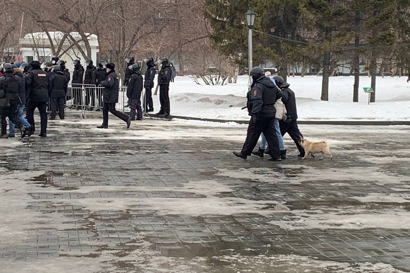 Rosyjskie władze zatrzymały protestujących w Nowosybirsku. Na komisariat trafił także pies