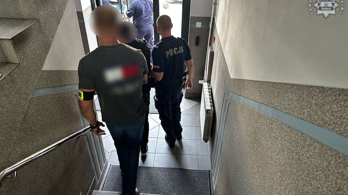 policja
