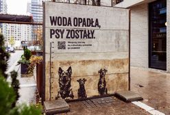 "Woda opadła, psy zostały" – rusza kampania pomocowa dla bezdomnych zwierząt