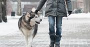 W Lublinie przestaną wypisywać mandaty. Za wykroczenie rozdają woreczki na psie odchody